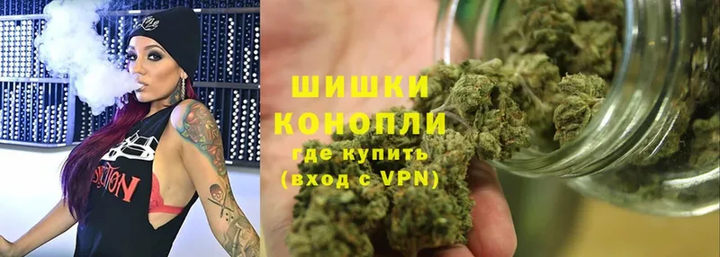 Каннабис OG Kush  Новоуральск 